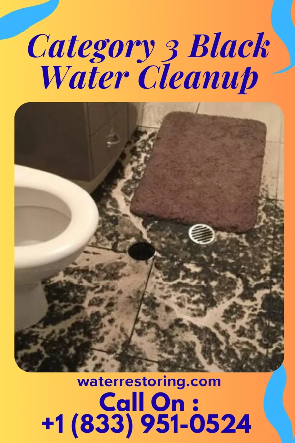 Category 3 Black Water Cleanup in Buck Grove, IA