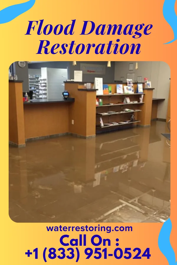Flood Damage Restoration in Buck Grove, IA