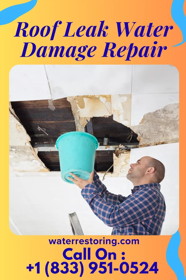 Roof Leak Water Damage Repair in Buck Grove, IA