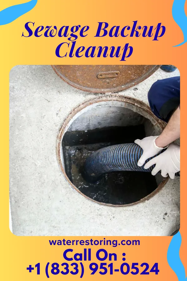 Sewage Backup Cleanup in Buck Grove, IA