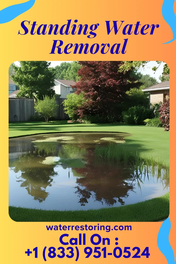 Standing Water Removal in Buck Grove, IA